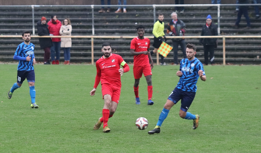 Newly habitat is hard for butterflies to live