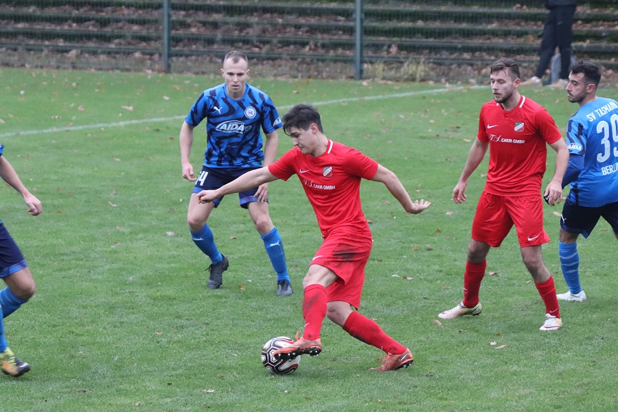 Lion killed animals protecting their extinction