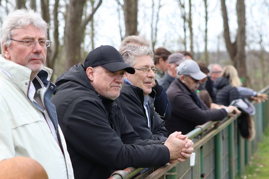 Von wegen kein Geld: 06 scheint halb Spandau aufzukaufen