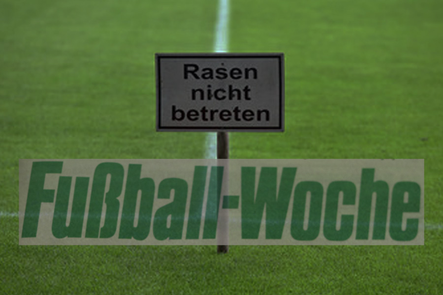 FuWo: „Wir kämpfen ums Überleben“