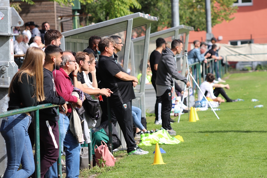 Teil 2 Berlinliga Vereins- und Trainer Check: Füchse und Türkspor enttäuschen