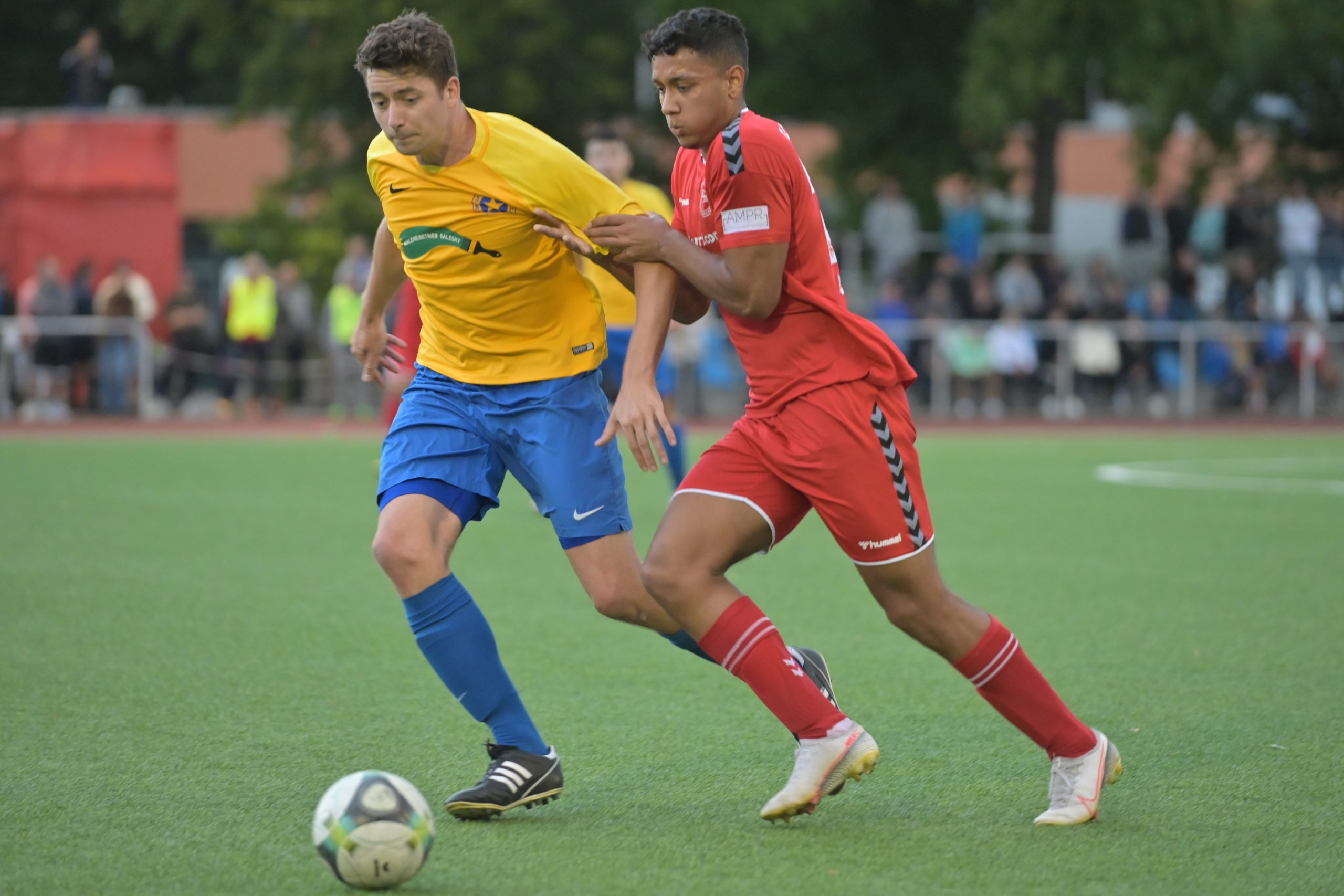 Spielt ausgerechnet Greifswald den Zehlendorfer Aufbaugegner?